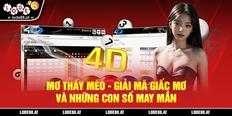 Mơ thấy mèo KUBET